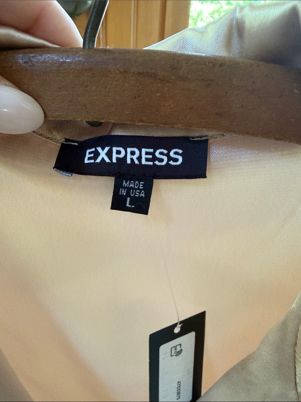 Express Sleeveless Champagne Color Satin Button-Front Top - Picture 4 of 4